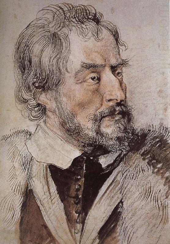 Peter Paul Rubens Portrait of thomas china oil painting image
